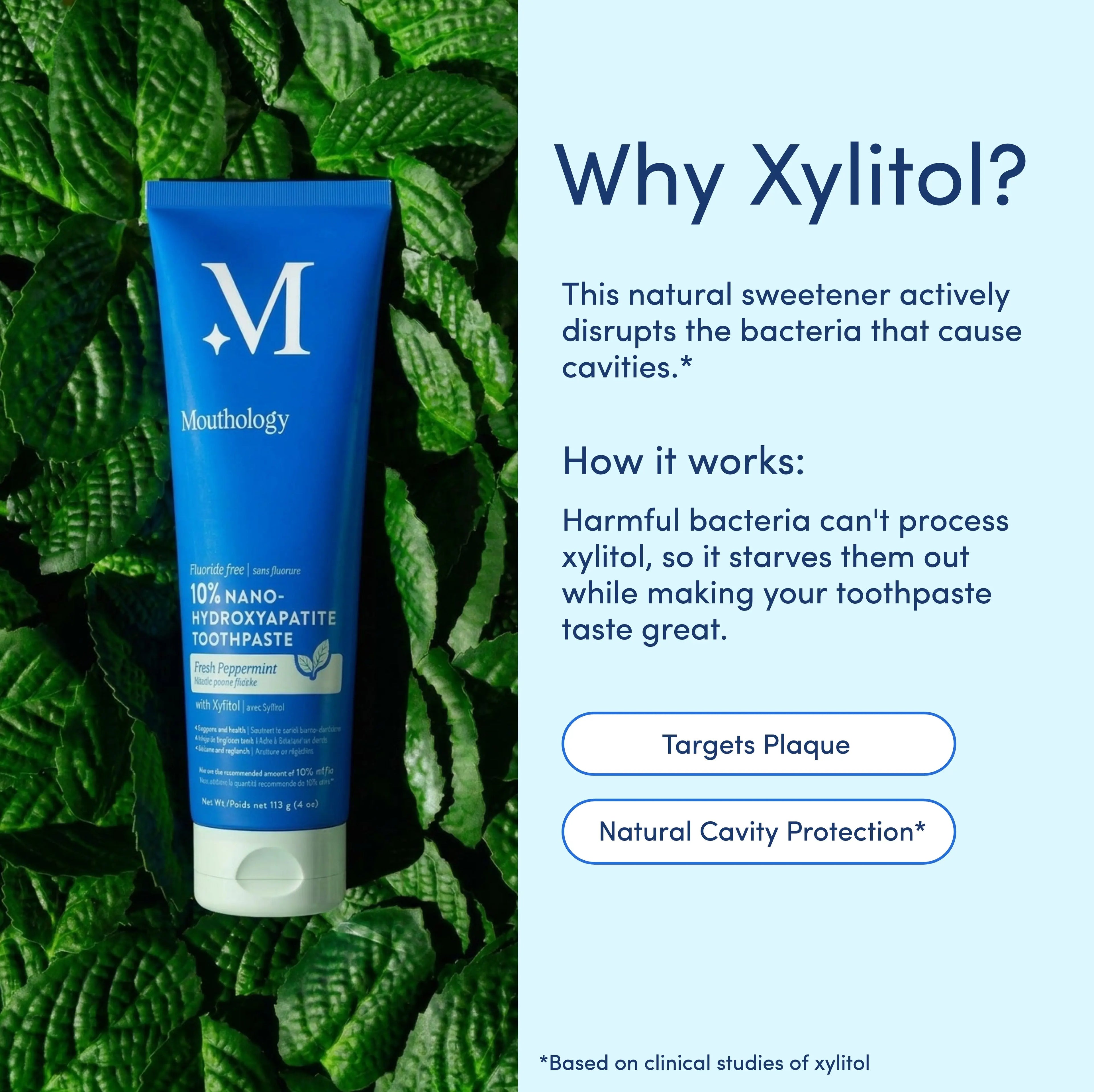 Mouthology 10% Nano-Hydroxyapatite Toothpaste | Fluoride-Free Enamel Care, Fresh Mint, Made in USA, Gentle Formula, product image 5
